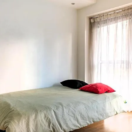 Le Saso Lyon